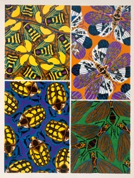 Diseño con motivos de insectos