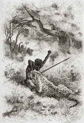 Un leopardo atacando a un africano, ilustración de 