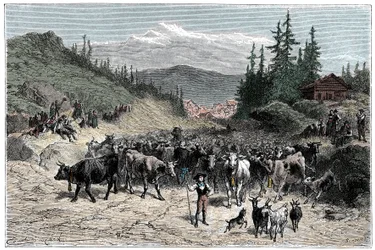 Alpes: el jodel o la partida de los rebaños (vacas, cabras) hacia los pastos. Ilustración de Emile Bayard para el libro "Las Montañas" de Albert Dupaigne, edición Mame 1881