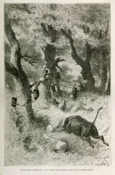 Derrota de la expedición ante la carga de un búfalo, dibujo de Emile Bayard, para ilustrar la historia: A través de África, de Zanzíbar (Tanzania) a Benguela (Angola), de 1872 a 1876, por el Teniente V.H. Cameron. Grabado en Le tour du monde