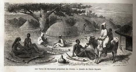 Preparación de marfil, para un comerciante turco, Uganda, dibujo de Emile Bayard (1837-1891), ilustrando el viaje de descubrimiento del Capitán Speke en África de 1860 a 1863. Grabado en “Le tour du monde”, editado por Edouard Charton