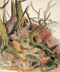 Estudio de árbol