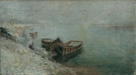 Barcos de pesca en la orilla del Danubio