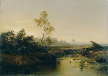 Moorlandschaft