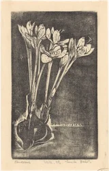 Cardo de otoño
