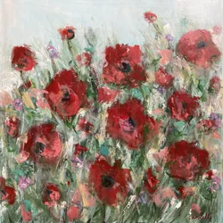 Campo de amapolas rojas