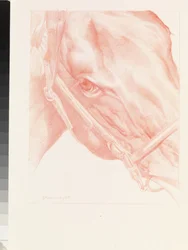 Cabeza de retrato, 2012