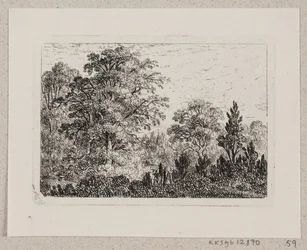 Paisaje forestal