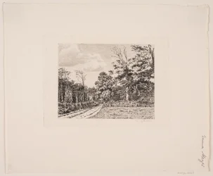 Paisaje forestal