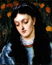 La bella amarilla Giroflée