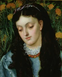 La bella alhelí