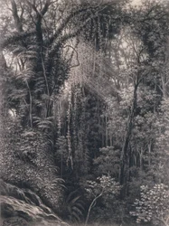 Vista del Desfiladero sobre Apia, Upolu, Samoa Occidental, 1877