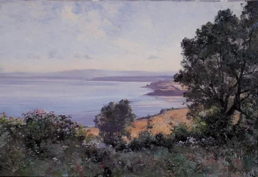 Douarnenez trigo y árboles en vista