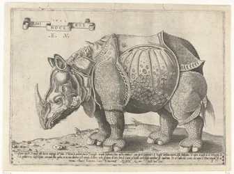 Rhinocerus
Rhinocerus (título del objeto)