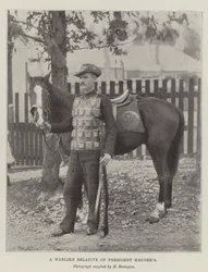 Un pariente belicoso del presidente Kruger