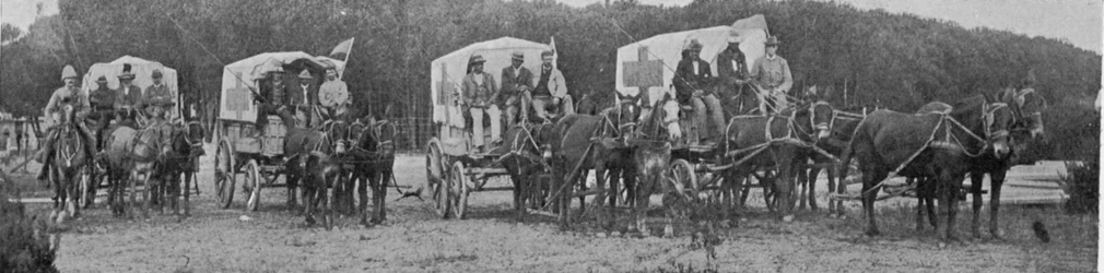Carros de ambulancia saliendo del Hospital de la Plaga en Ciudad del Cabo, ilustración de The King, 25 de mayo de 1901