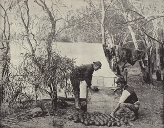 Campamento de recolectores de huevos de emú