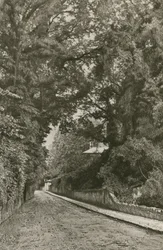 Camino de Bonchurch, Isla de Wight