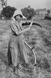 Cosecha - Miembro de la Reserva Voluntaria de Mujeres de Leicester ayudando a un agricultor, fotografías de la Oficina de Guerra, 1916