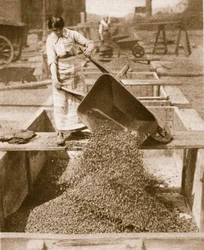 Compañeros en casa para héroes en el extranjero, 1914-19