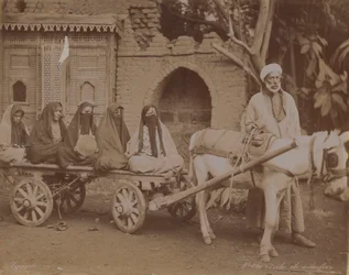 Carro tirado por caballos, El Cairo