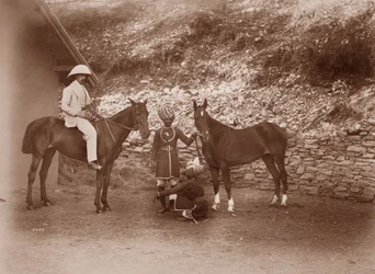 Caballos en Simla, Queen Mab y Gladys