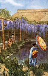 Jardín japonés (foto en color)
