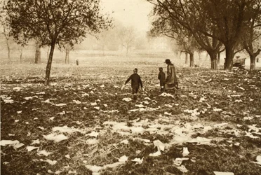 Hierba cubierta de basura en Hampstead Heath el día después de un día festivo, de «Wonderful London», publicado en 1926-27