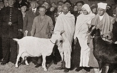 Mahatma Gandhi llega a Londres, Inglaterra, en 1931 con su discípula Madeleine Slade y sus dos cabras, de The Story of Twenty Five Years, publicado en 1935