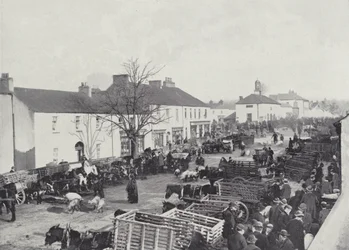 Día de mercado en Abbeyleix