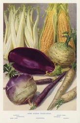 Algunas verduras más raras (foto)