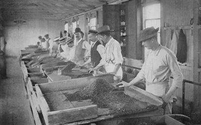 Sudáfrica: Mesas de Búsqueda, Minas de Diamantes De Beers, Kimberley