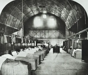 St Thomas Hospital: sala temporal en Surrey Gardens Music Hall, 1868