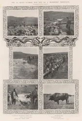 La salida de los 1st Scots Guards de una dificultad de transporte