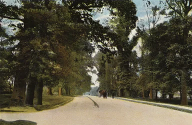 La Avenida Larga, Coventry