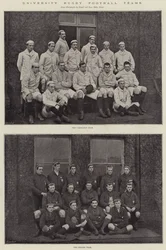 Equipos de rugby universitarios