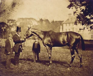 Wild Dayrell, ganador del Derby en 1856