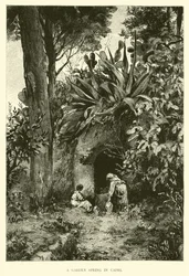 Un Jardín de Primavera en Capri