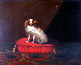 Un spaniel King Charles en un cojín rojo, Escuela Provincial