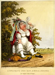 Un Día de Perros y Verdadero Derretimiento en el Campo, grabado por George Hunt, publicado por Thomas McLean, Londres, 1827