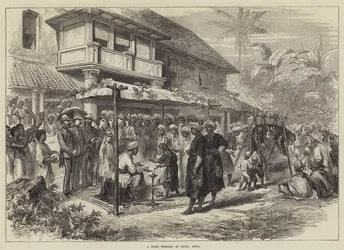 Una boda de tigres en Coorg, India