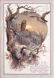 Tarjeta navideña victoriana de un búho posado en una rama en una noche de luna, c.1880