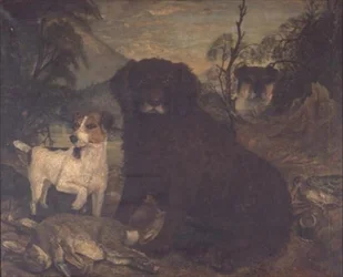 Un Perro de Agua y Dos Jack Russells junto a la Bolsa del Día