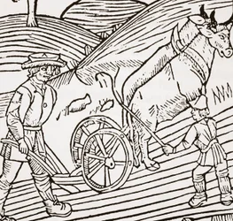 Un par de bueyes enganchados a un arado, portada del libro de agricultura de John Fitzherbert, primera publicación en 1523