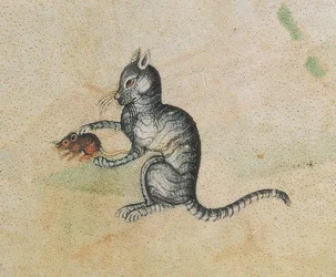 Añadir 42130 f.190 Un gato doméstico jugando con un ratón, del Salterio de Luttrell, iniciado antes de 1340 para Sir Geoffrey Luttrell (1276-1345) (detalle de 55684)