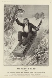 Anuncio de jabón Brookes Monkey Brand