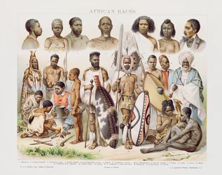 Razas africanas