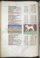 Arundel MS 66 f.44v Canis maior y Canis minor representados como perros 