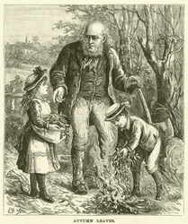 Hojas de otoño (grabado)