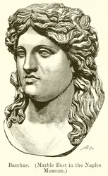 Baco. (Busto de mármol en el Museo de Nápoles) (grabado)